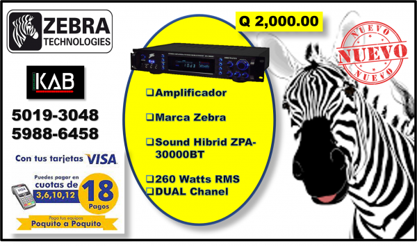 AMPLIFICAFICADOR ZEBRA