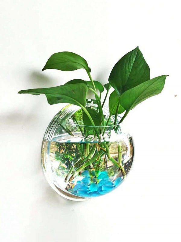 Florero de Pared