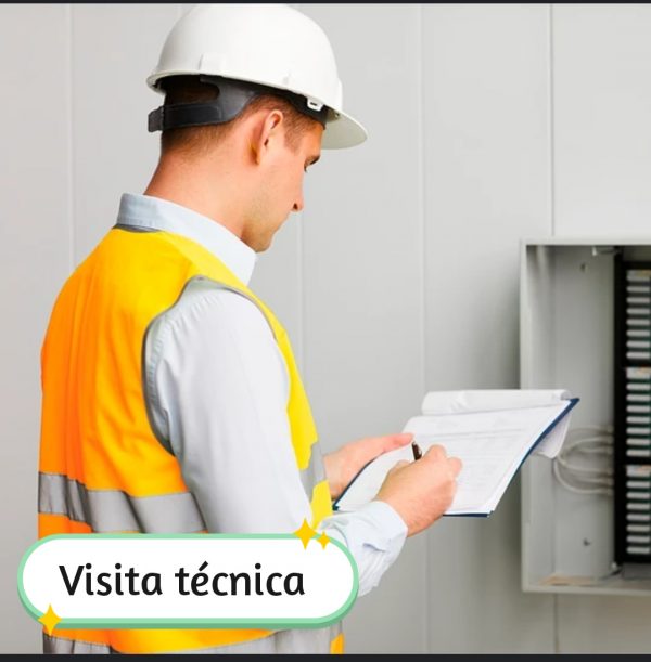 Visita Técnica (Asesoría)