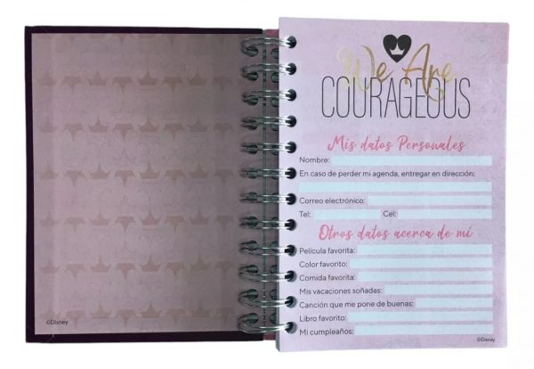 Agenda Pequeña 2025 U-Pak Ariel