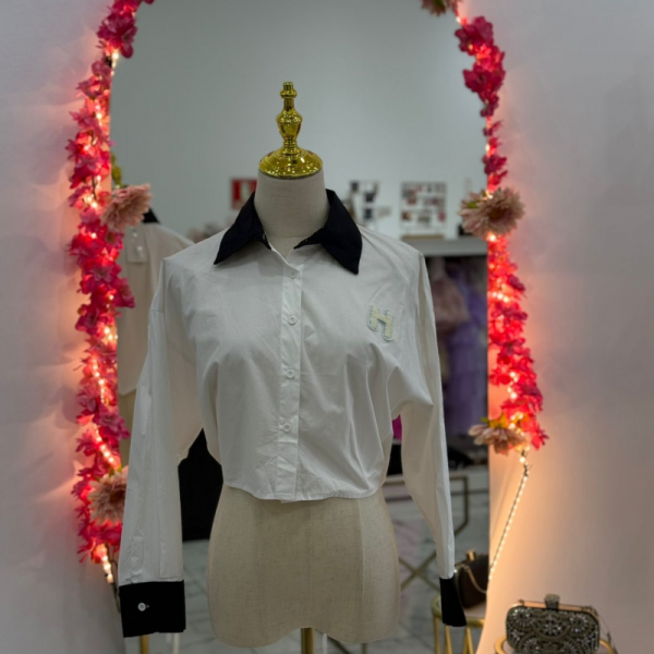 Blusa