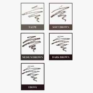 Brow Beginners Kit
