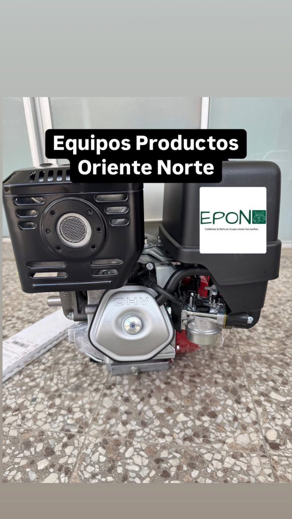 Motor Honda GX390 13 HP de agencia