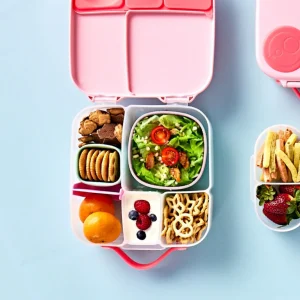 Lunch Tub