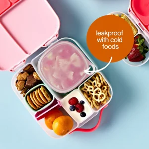 Lunch Tub