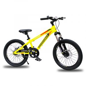 BICI MTB20 DIAMOND STEEL MTS1.0