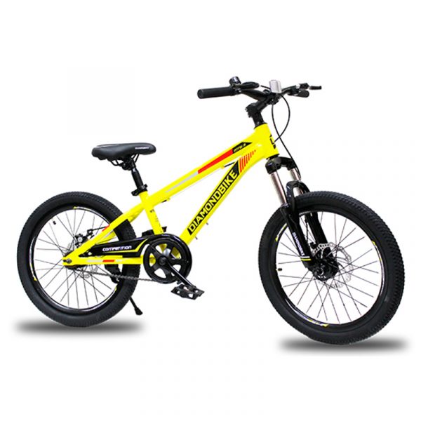 BICI MTB20 DIAMOND STEEL MTS1.0