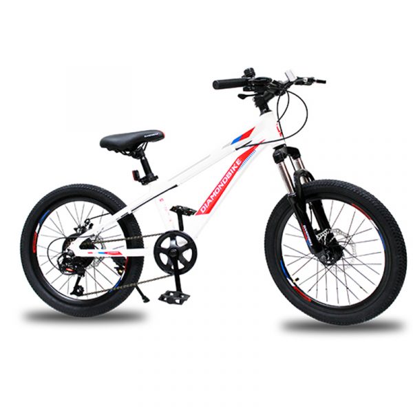 BICI MTB20 DIAMOND ALLOY MTA300