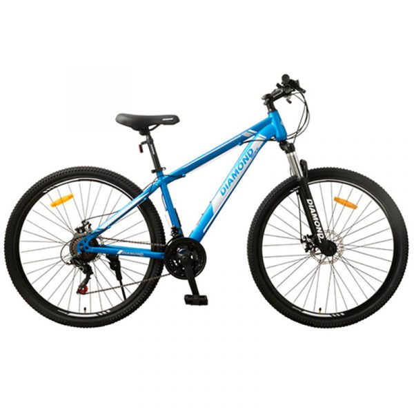 BICI MTB29 DIAMONDBIKE STEEL