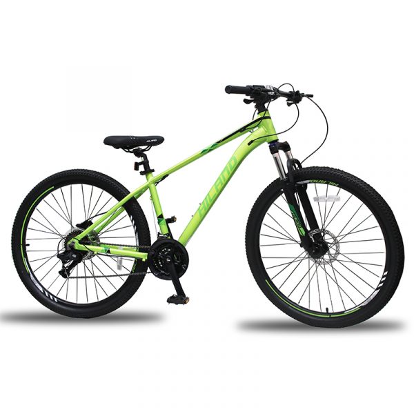 BICI MTB27