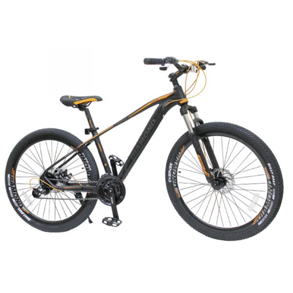 BICI MTB26 DMDBIKE FOREVER