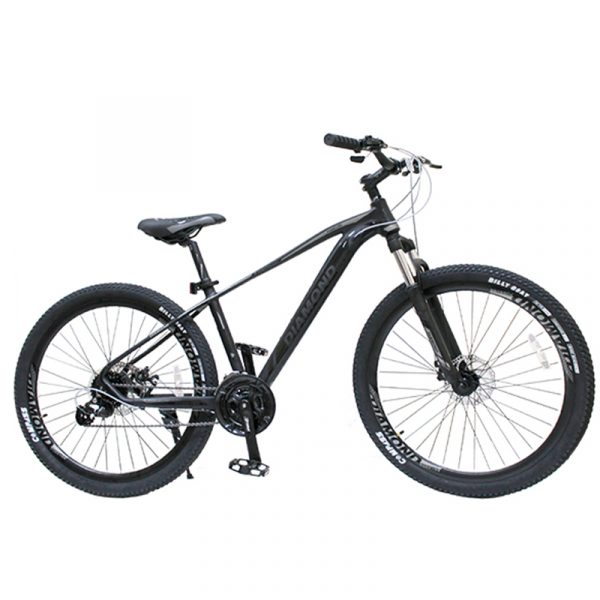 BICI MTB29 DMDBIKE FOREVER ALLOY