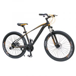 BICI MTB29 DMDBIKE FOREVER ALLOY