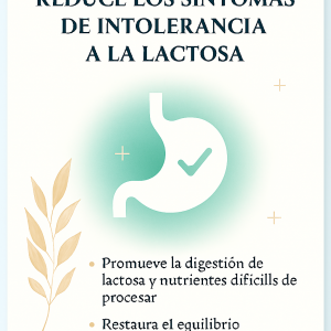 🌿 SymbioLact® Comp. La solución inteligente para un intestino saludable