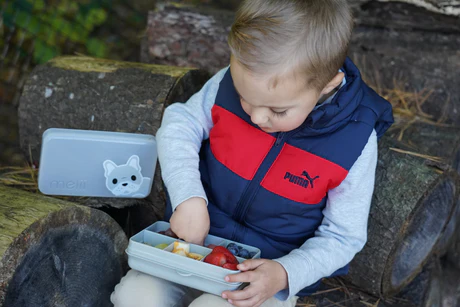 Snackle Box Mini 6 Compartimentos