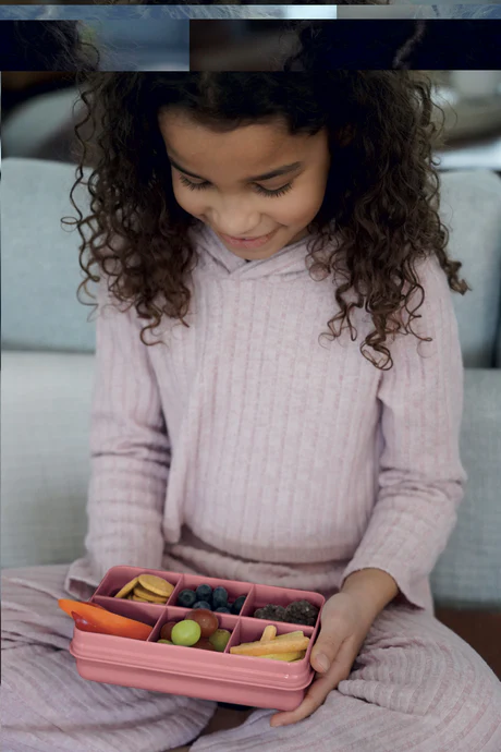 Snackle Box Mini 6 Compartimentos