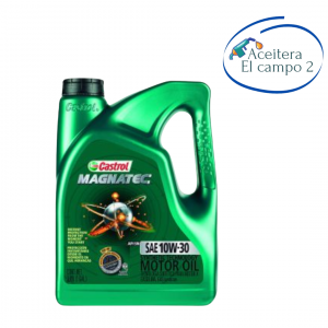 Castrol Magnatec SAE 10W30