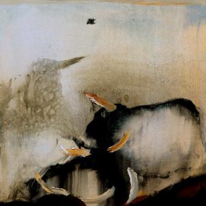 Entre Luz y Amanecer