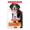 Hill´s Science Diet Large Breed Adult - 33lbs