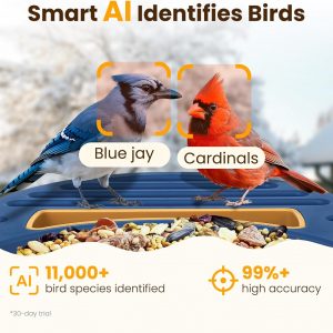 Comedero inteligente para pájaros con cámara, cámara de alimentación de pájaros UHD de 2.5 K con energía solar, identificación AI sensible, video de captura de alertas instantáneas