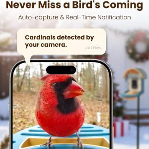 Comedero inteligente para pájaros con cámara, cámara de alimentación de pájaros UHD de 2.5 K con energía solar, identificación AI sensible, video de captura de alertas instantáneas