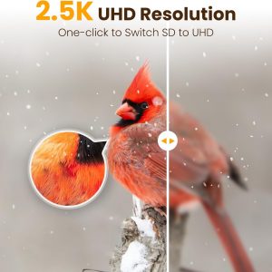 Comedero inteligente para pájaros con cámara, cámara de alimentación de pájaros UHD de 2.5 K con energía solar, identificación AI sensible, video de captura de alertas instantáneas