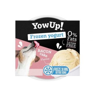 Frozen Yogurt 110 Gr - Bacon cake