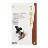 Revolution perros 5.1 - 10 kg