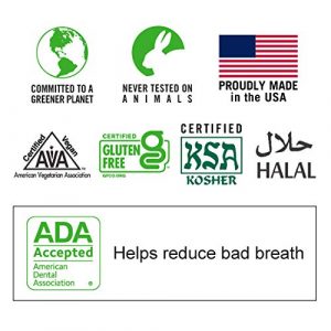 TheraBreath Fresh Breath Mouthwash, Icy Mint Flavor, Alcohol-Free, 16 Fl Oz (Pack of 2)