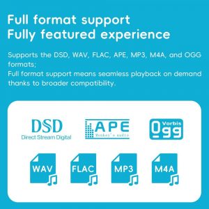 SnowSky/FiiO Echo MINI HiFi Bluetooth MP3 Player, 15Hours Playback, Independent Volume Control with 3.5mm/4.4mm Headphones Outputs (Black)