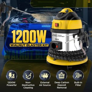 YUANRI Walnut Blaster Kit for Carbon Cleaning, 1200W Engine Intake Valve Cleaner Machine, Automotive Engine Carbon Remover with 2kg Walnut Sand, Sand Blaster for Carbon Cleaning HTS558